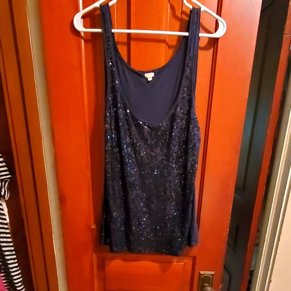 J. Crew Sleeveless Blue Sequin Top, Size L
